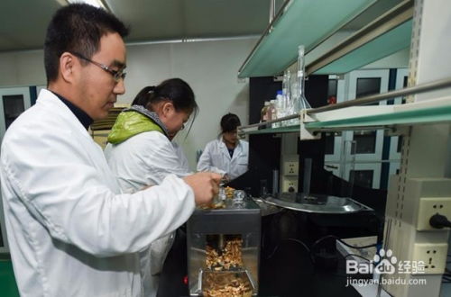 中藥制劑實驗設計方法及其在醫藥教學器材中的應用