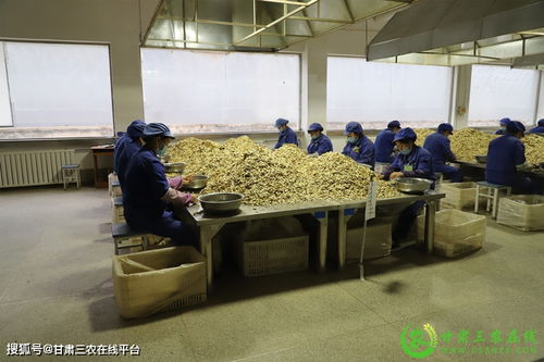 隴西縣實現道地中藥材生產全程可追溯，助力醫藥教學器材升級